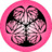 Pink Aoi Icon